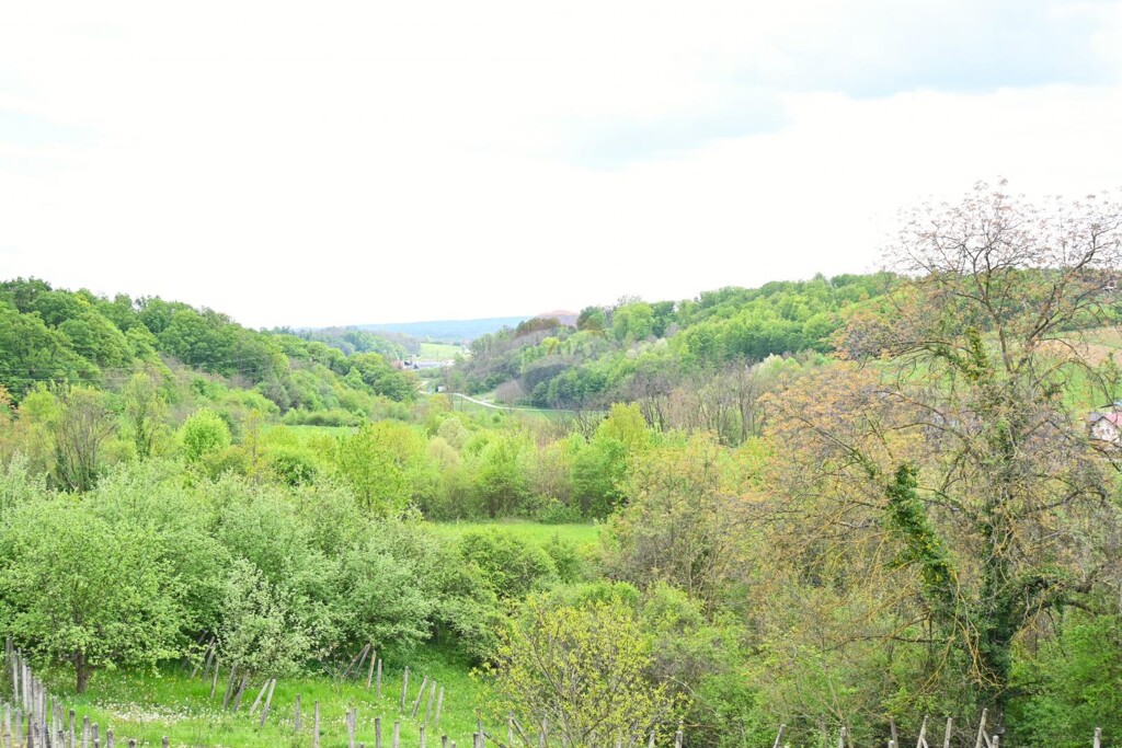 Image 5858836 - 10