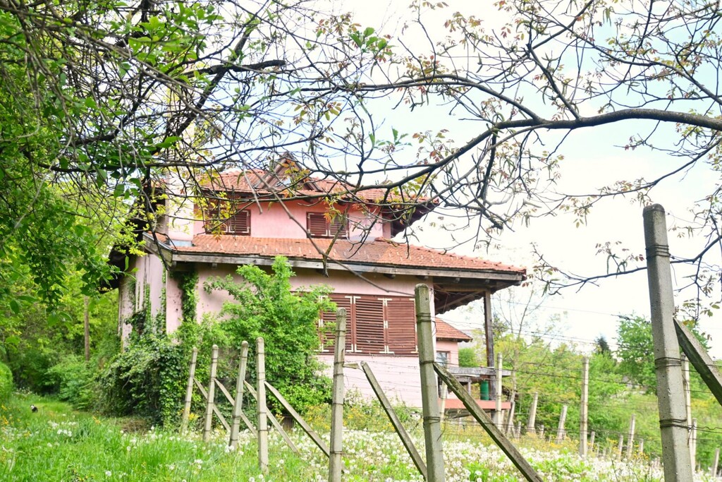 Image 5858836 - 3