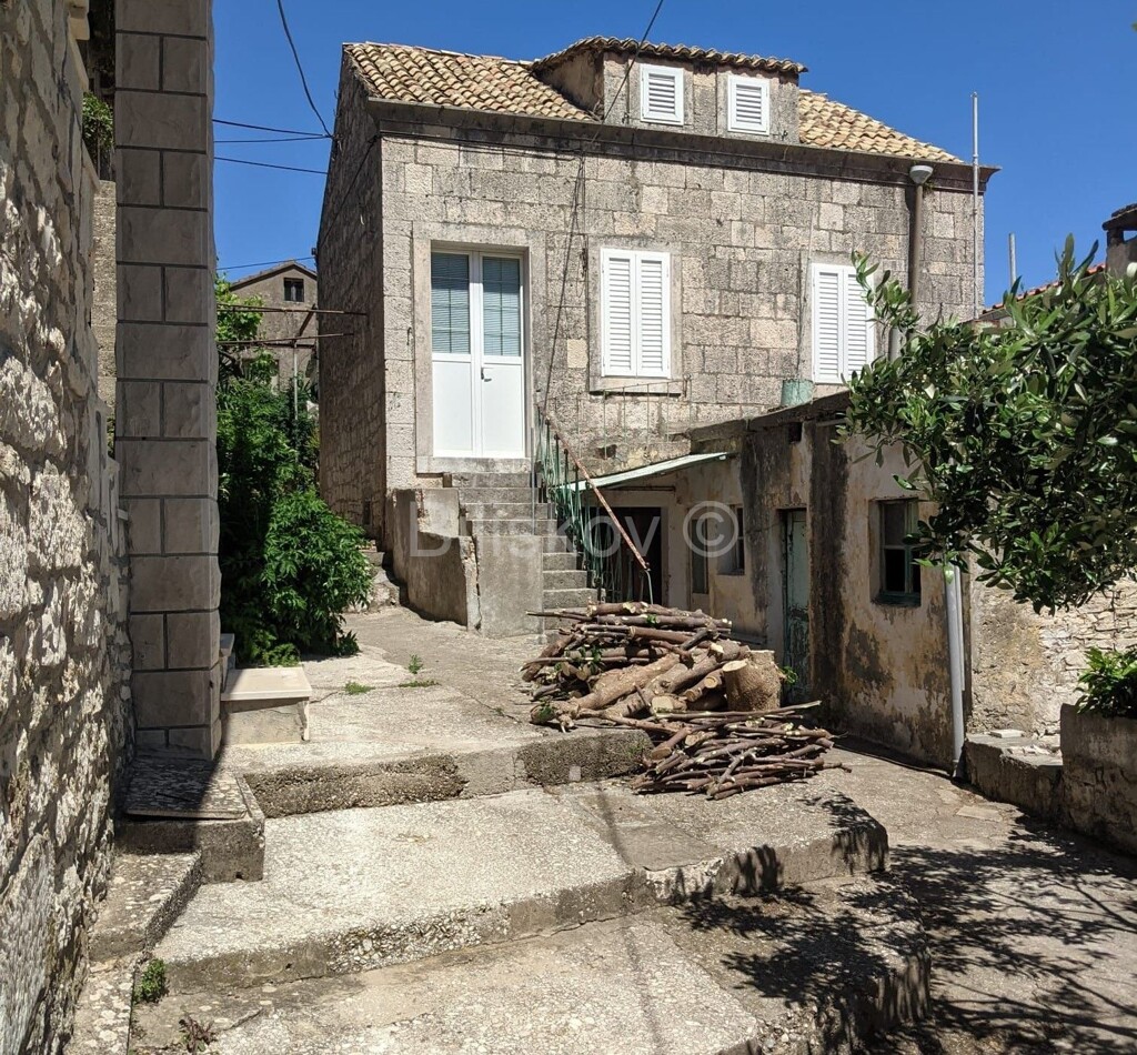 Image 5860286 - 1