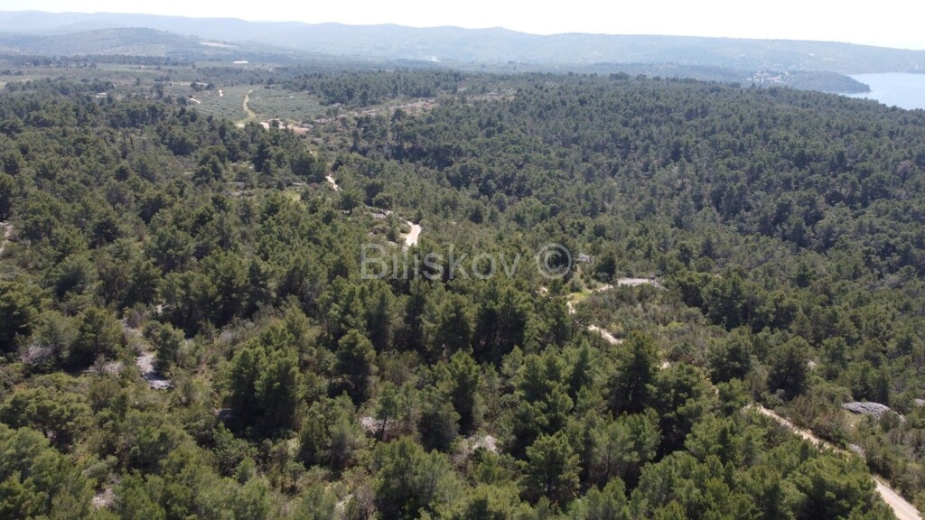 Image 5861507 - 5