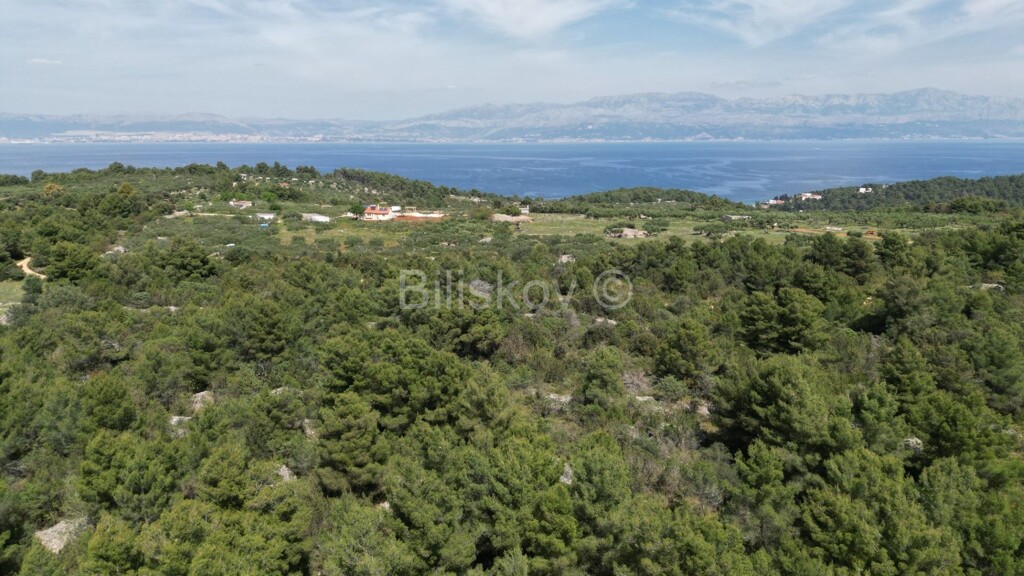 Image 5861507 - 3