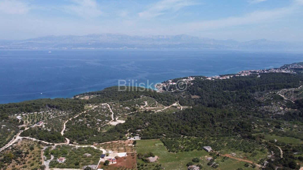 Image 5861507 - 1