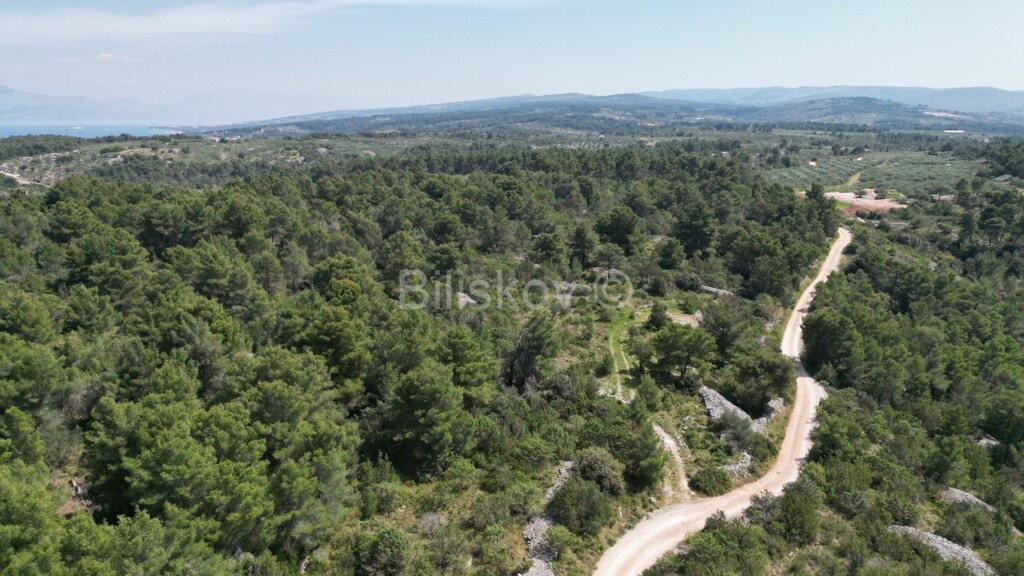 Image 5861507 - 4