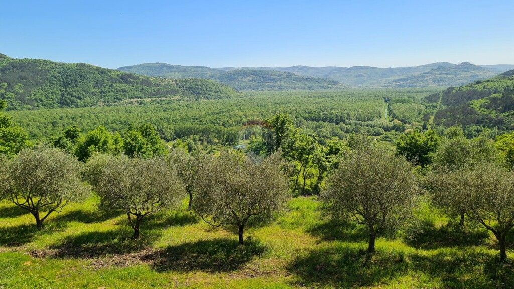 Image 5861710 - 2