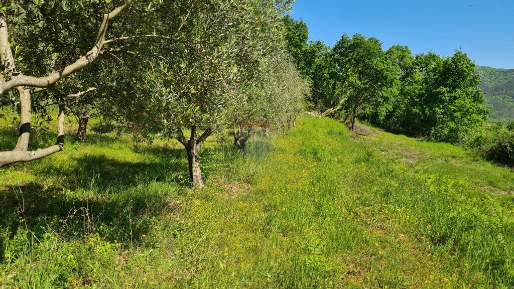 Image 5861710 - 16