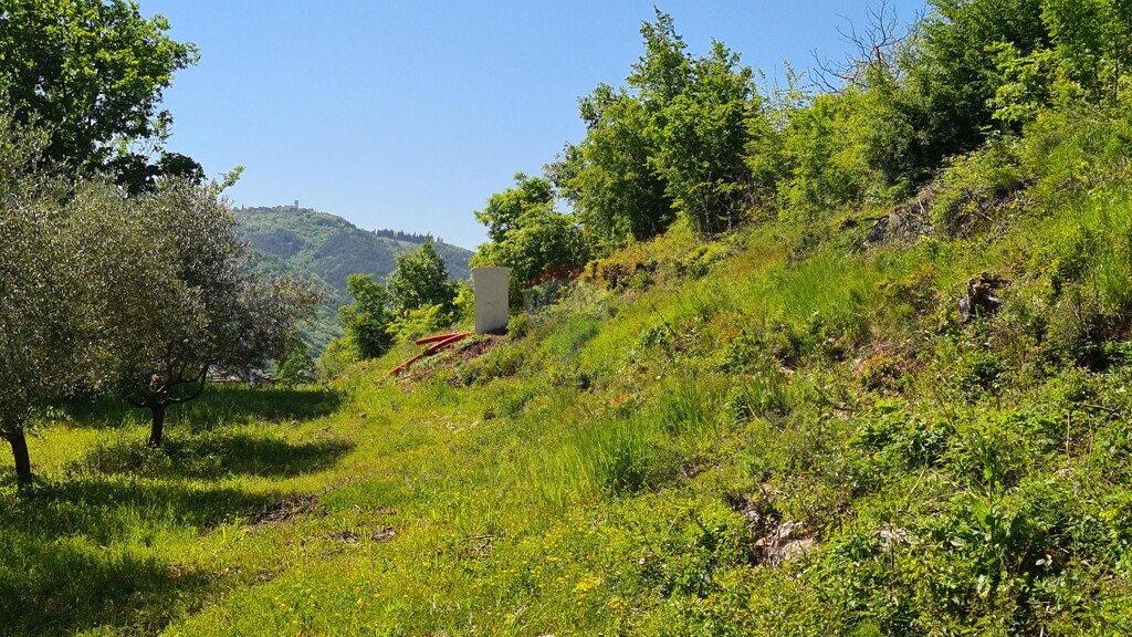 Image 5861710 - 13