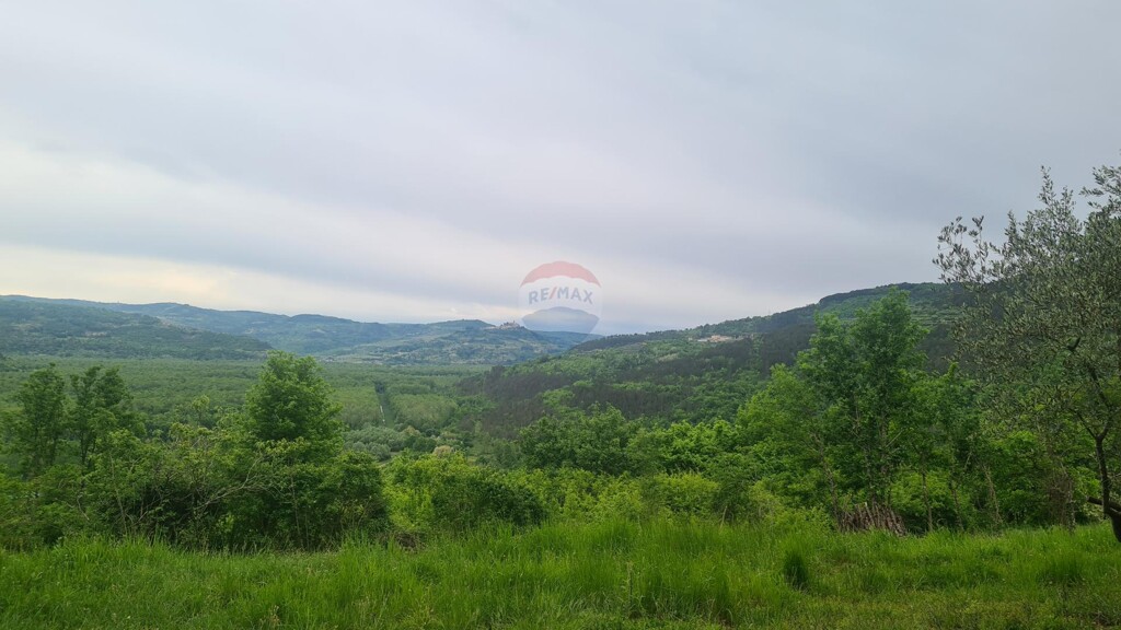 Image 5861710 - 5