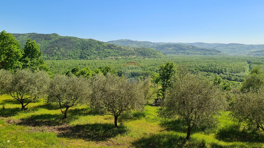 Image 5861710 - 8