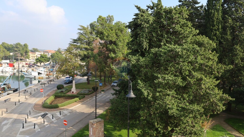 Image 5861711 - 12