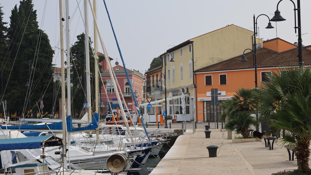 Image 5861711 - 13