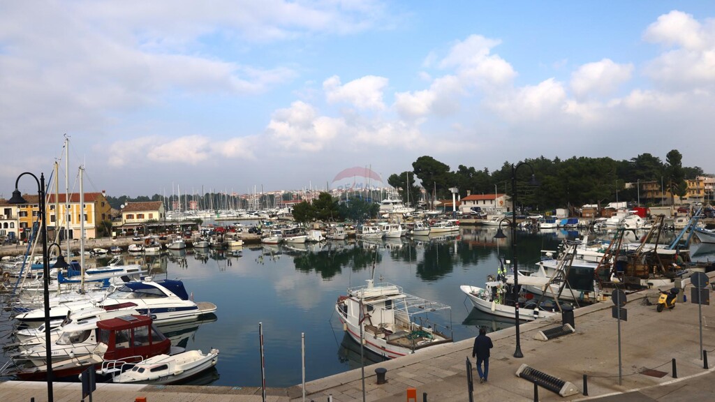 Image 5861711 - 1