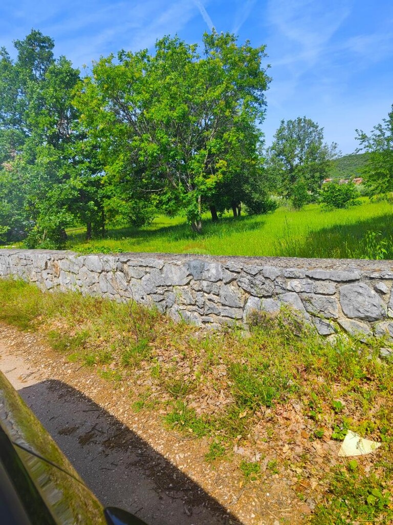 Image 5861714 - 1