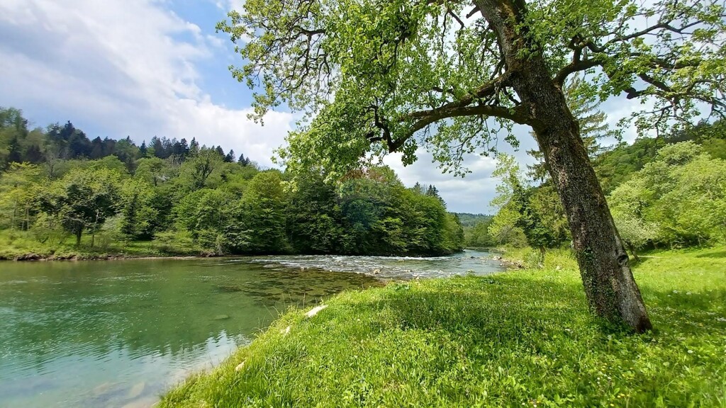 Image 5861718 - 4