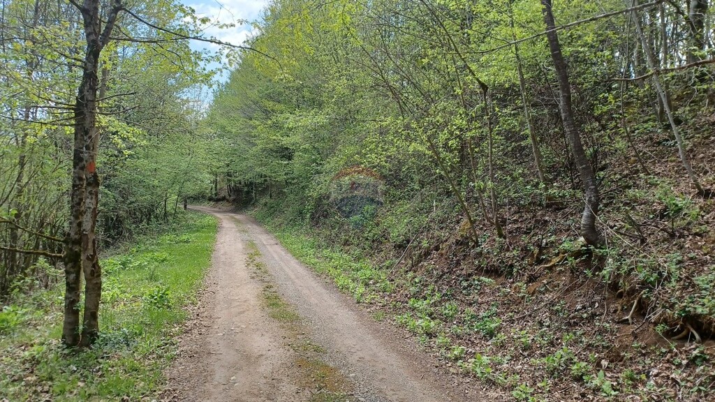 Image 5861718 - 5
