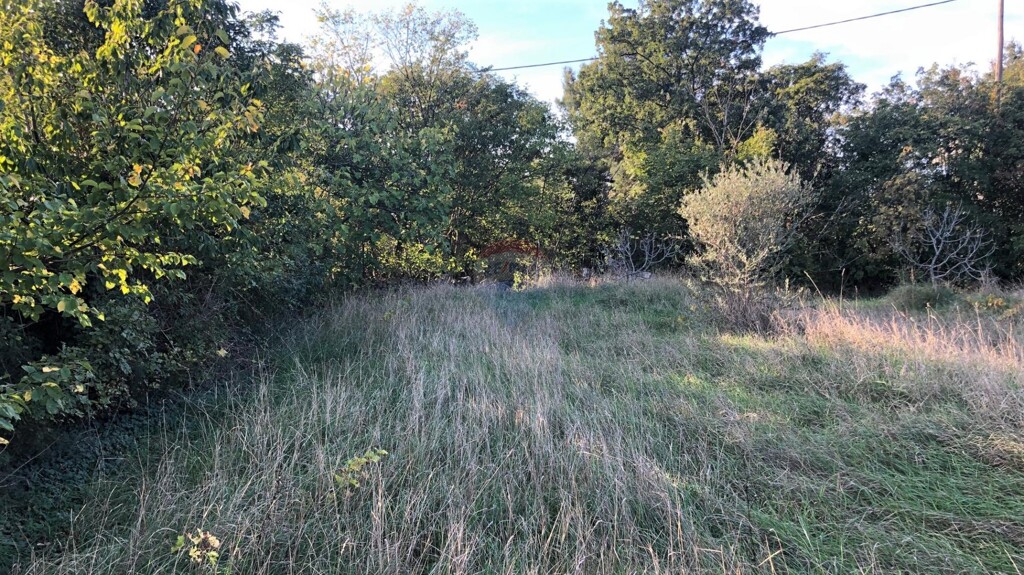 Image 5861727 - 4