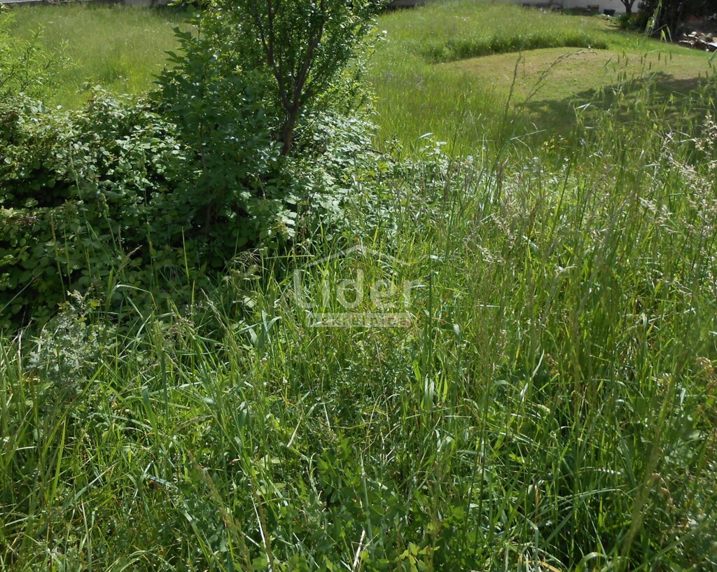 Image 5862584 - 3