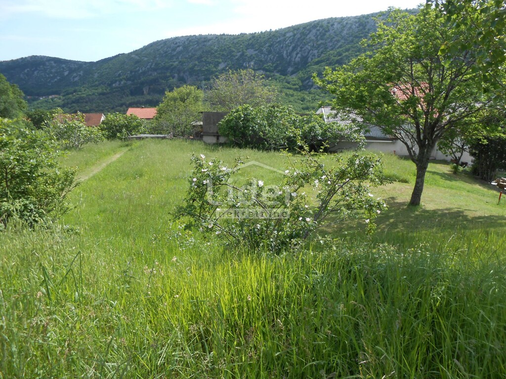 Image 5862584 - 1