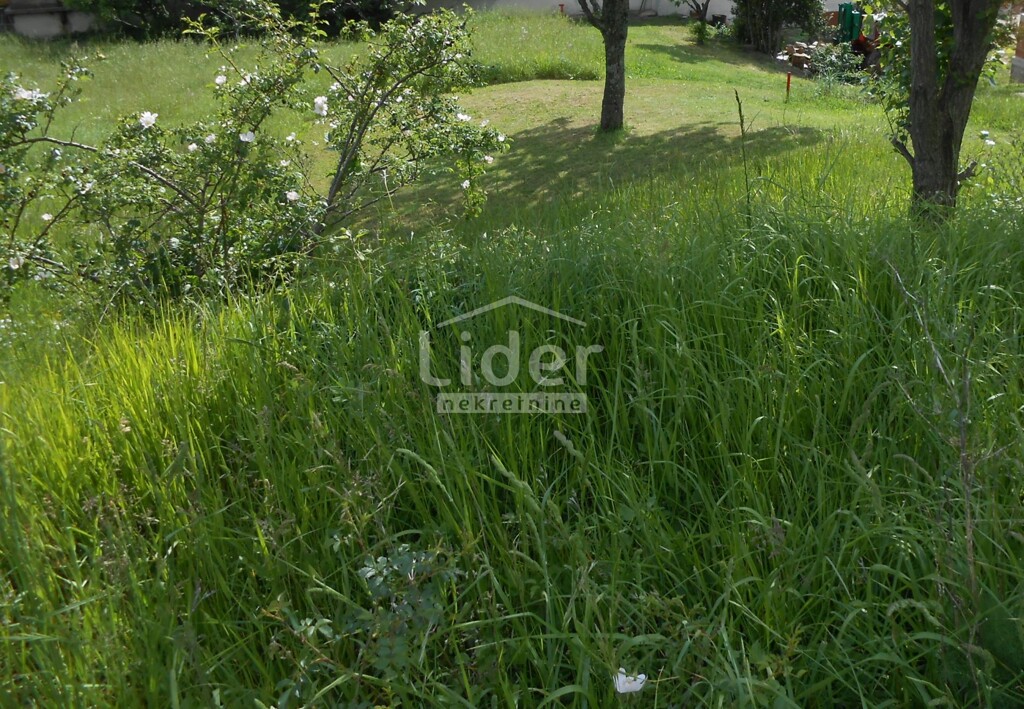 Image 5862584 - 4
