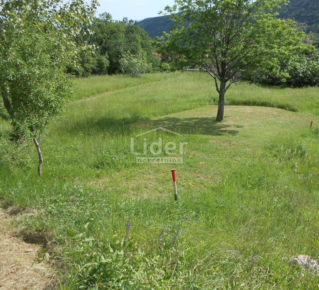 Image 5862584 - 2