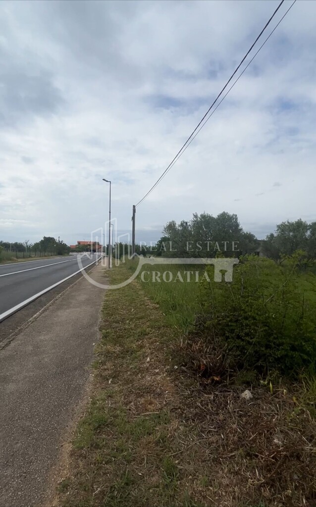 Image 5862694 - 8