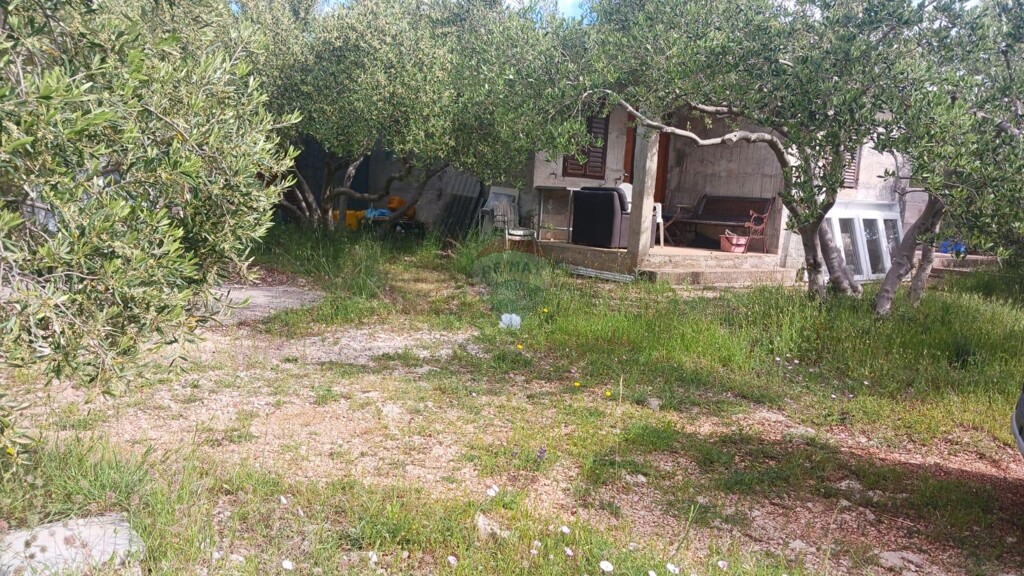 Image 5862861 - 6