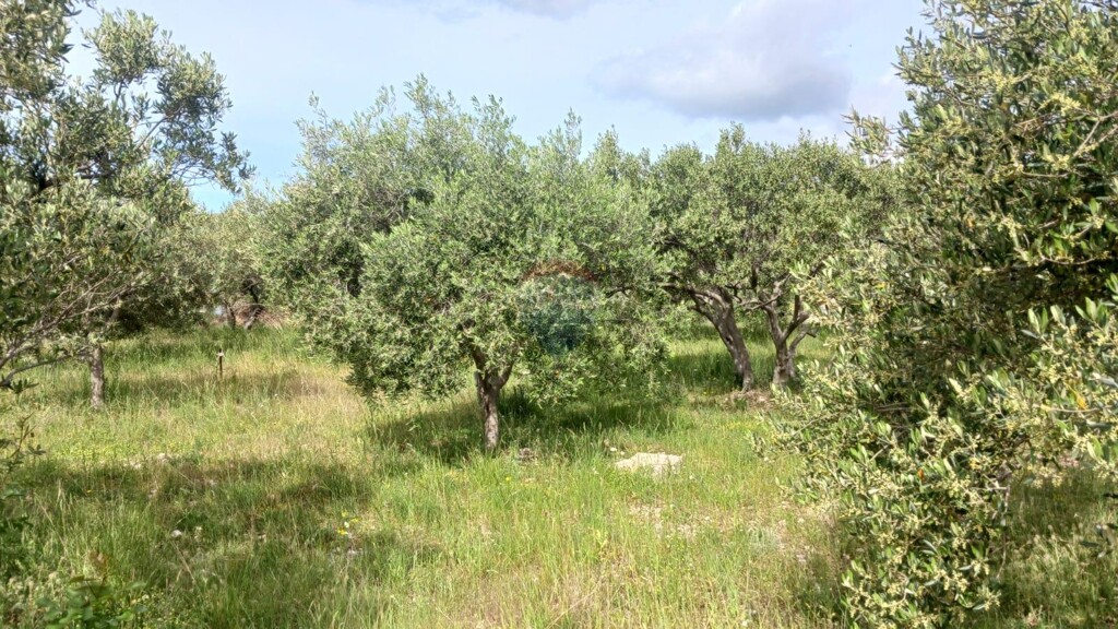 Image 5862861 - 4