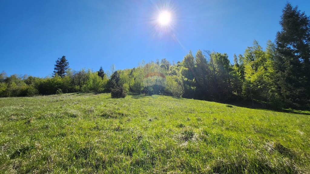 Image 5862867 - 1