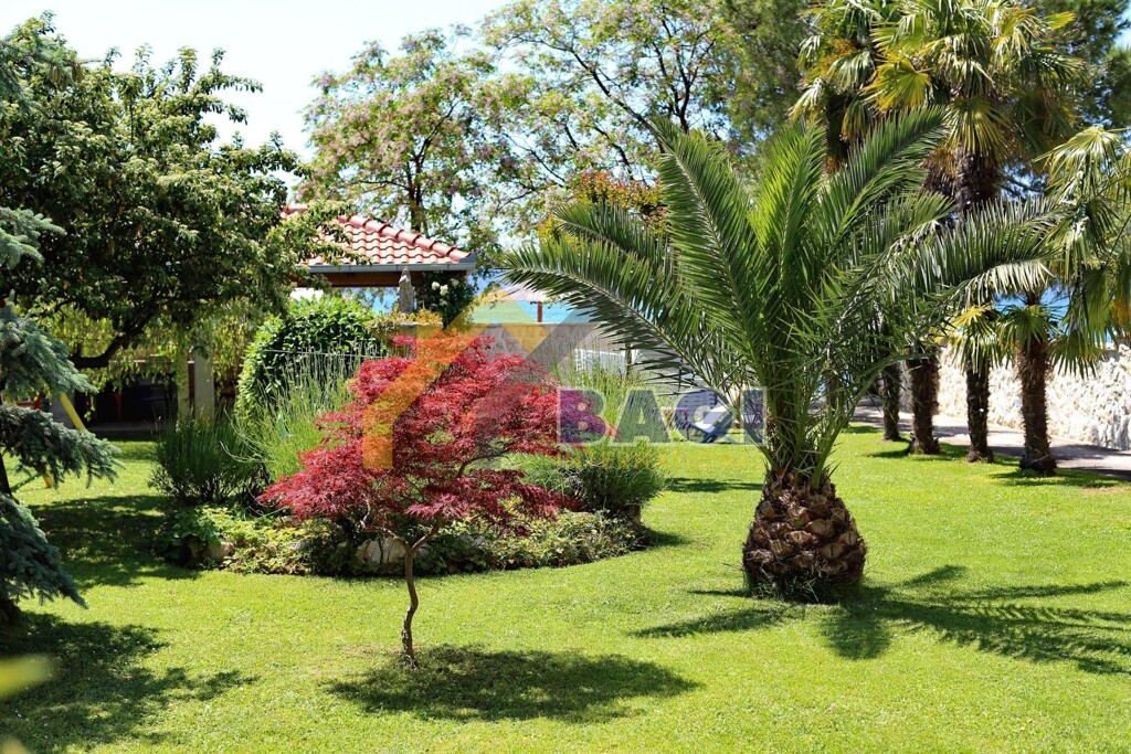 Image 5863573 - 8