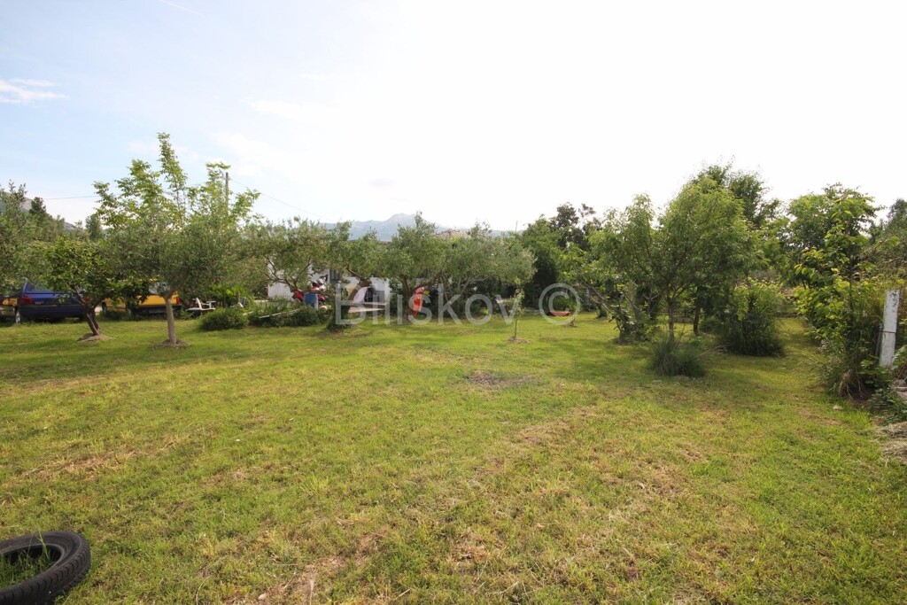 Image 5863609 - 20