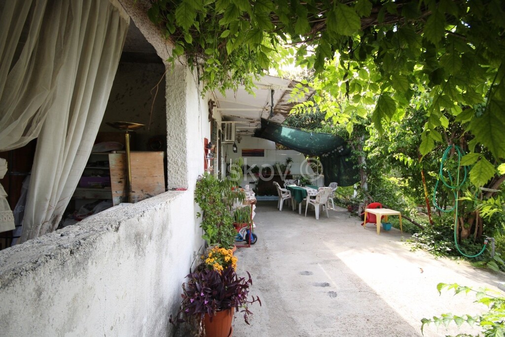 Image 5863609 - 8
