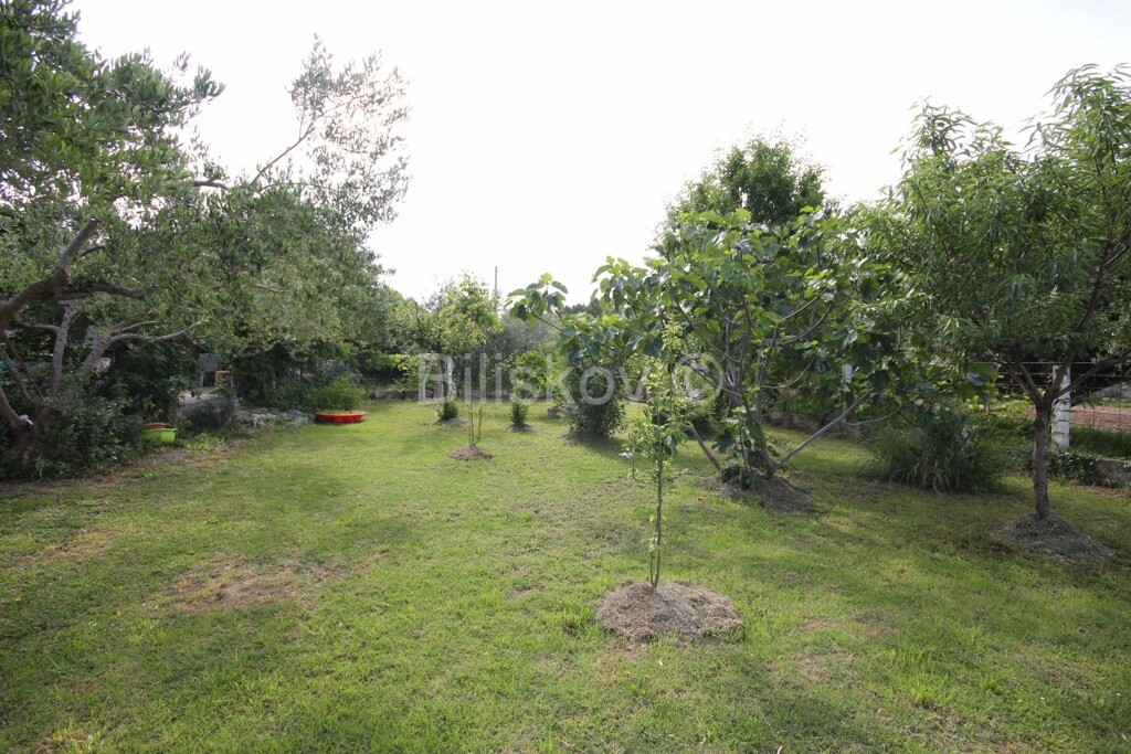 Image 5863609 - 21