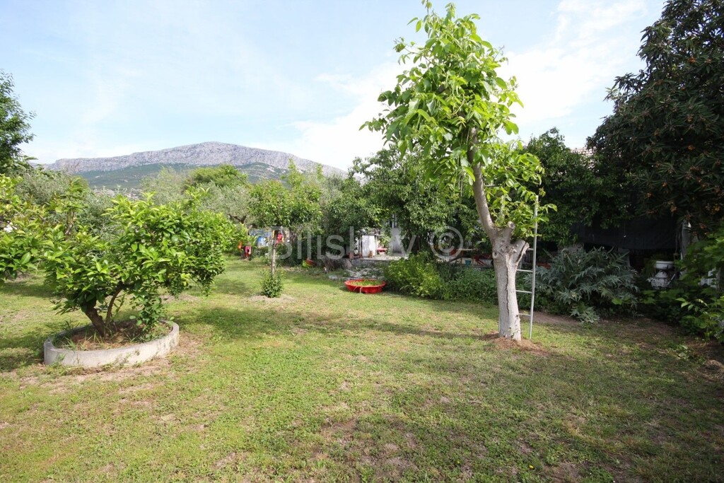 Image 5863609 - 4