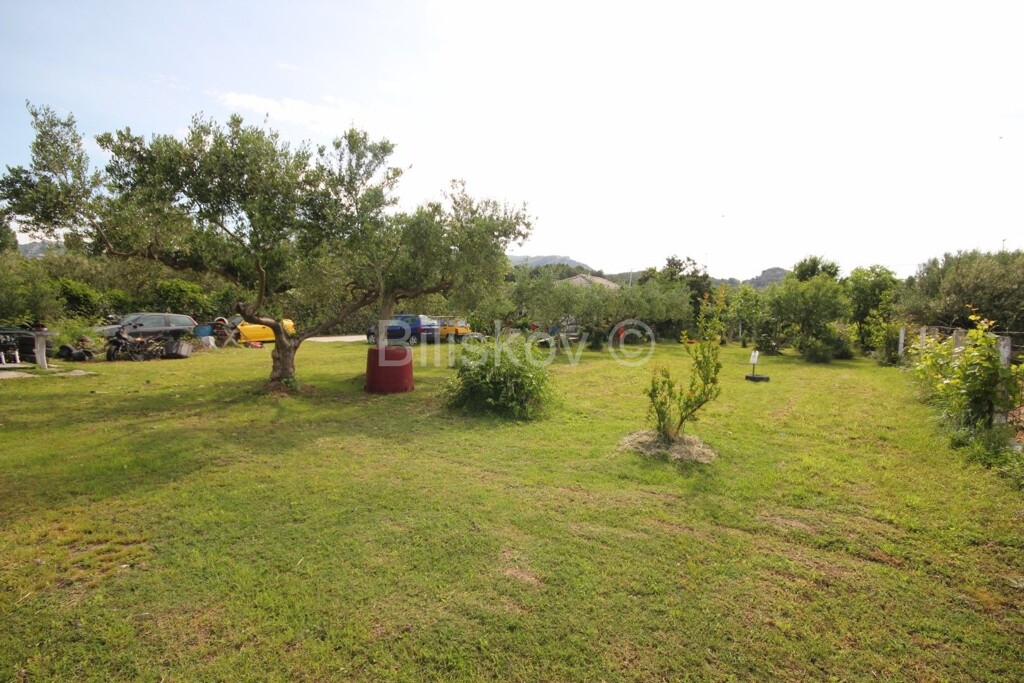 Image 5863609 - 19