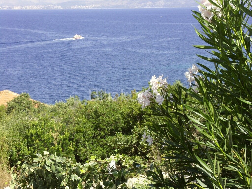 Image 5863613 - 24