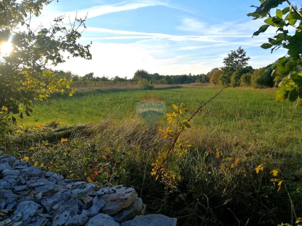 Image 5863828 - 1