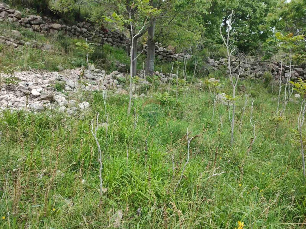 Image 5863829 - 5