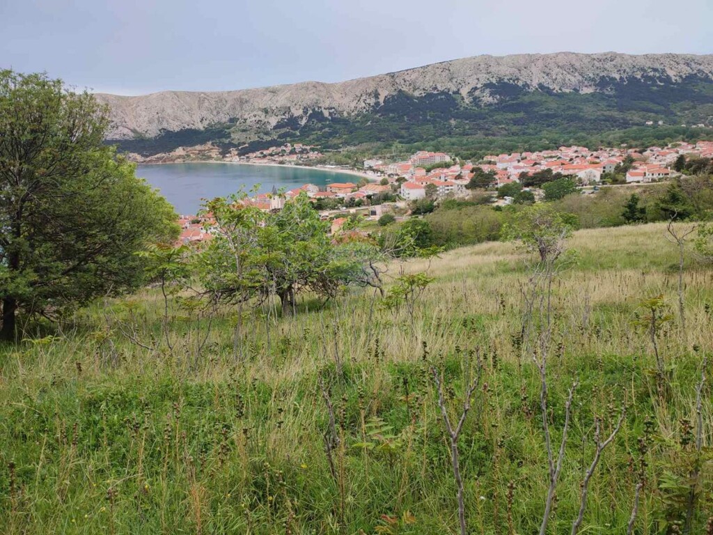Image 5863829 - 1