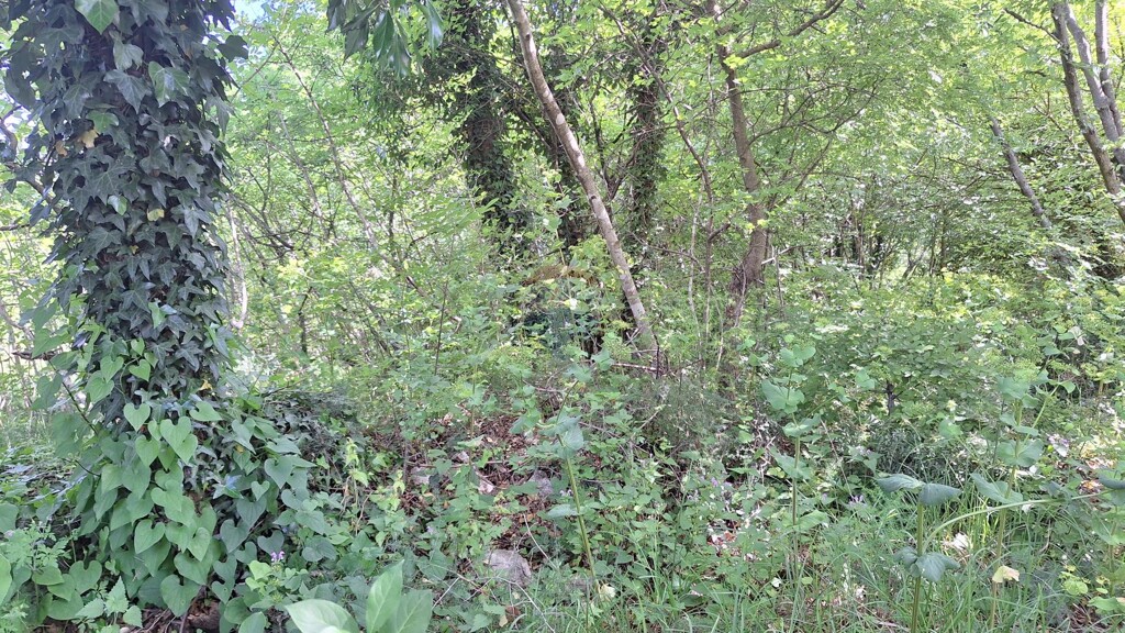 Image 5863833 - 4