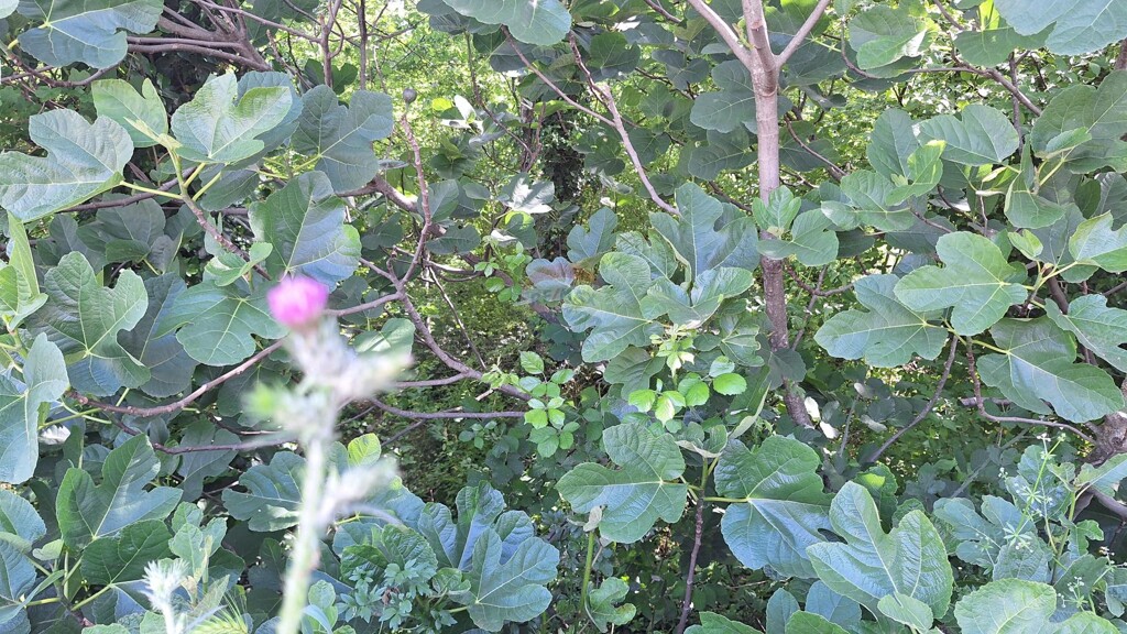 Image 5863833 - 6