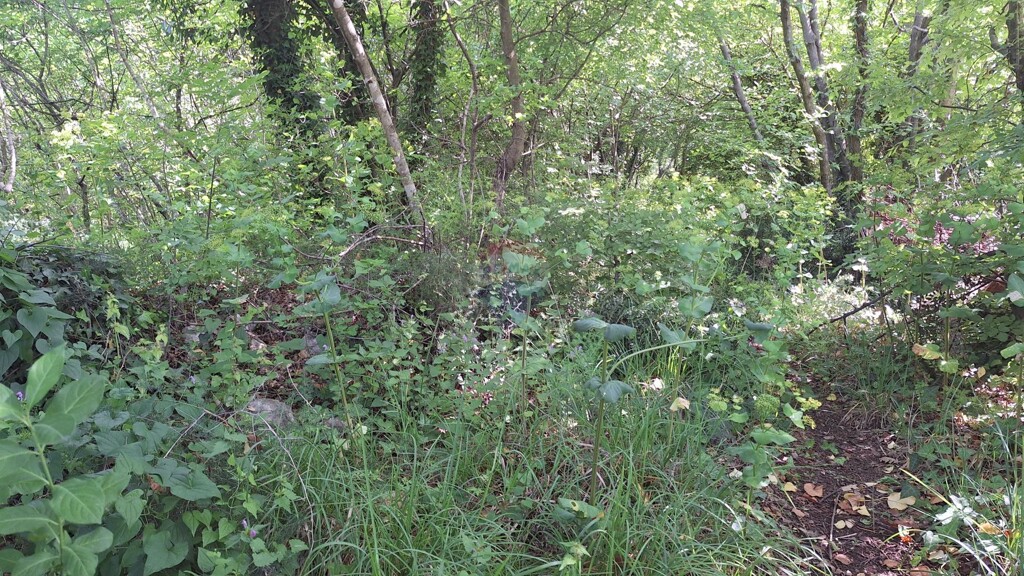 Image 5863833 - 5