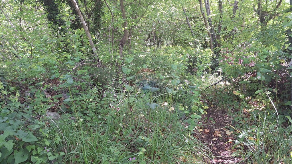 Image 5863833 - 7