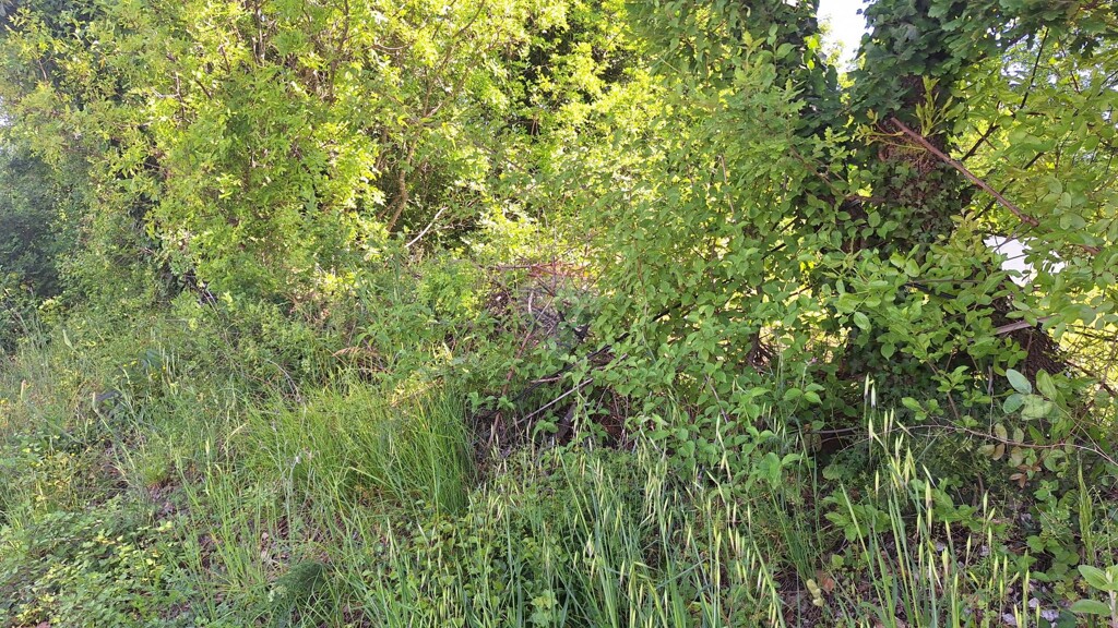 Image 5863833 - 3