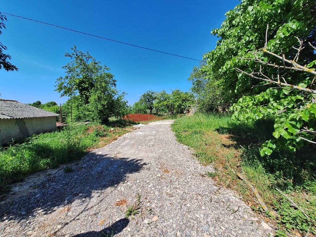 Image 5864312 - 3