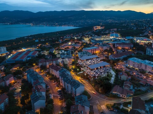 Thumbnail 5865435 - 14