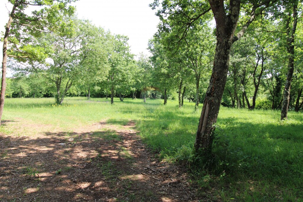 Image 5865668 - 3