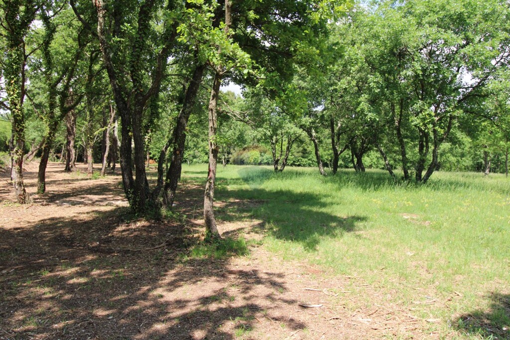 Image 5865668 - 5