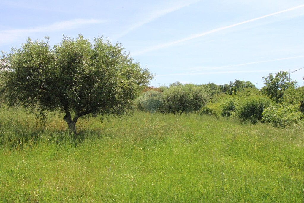 Image 5865671 - 2