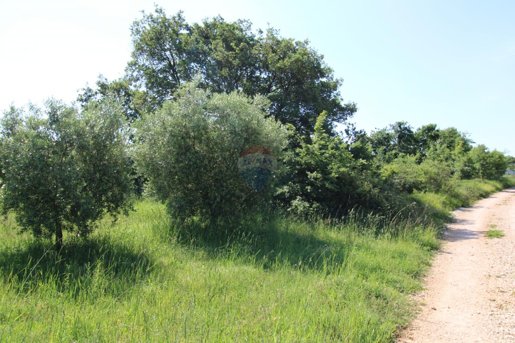 Image 5867527 - 1