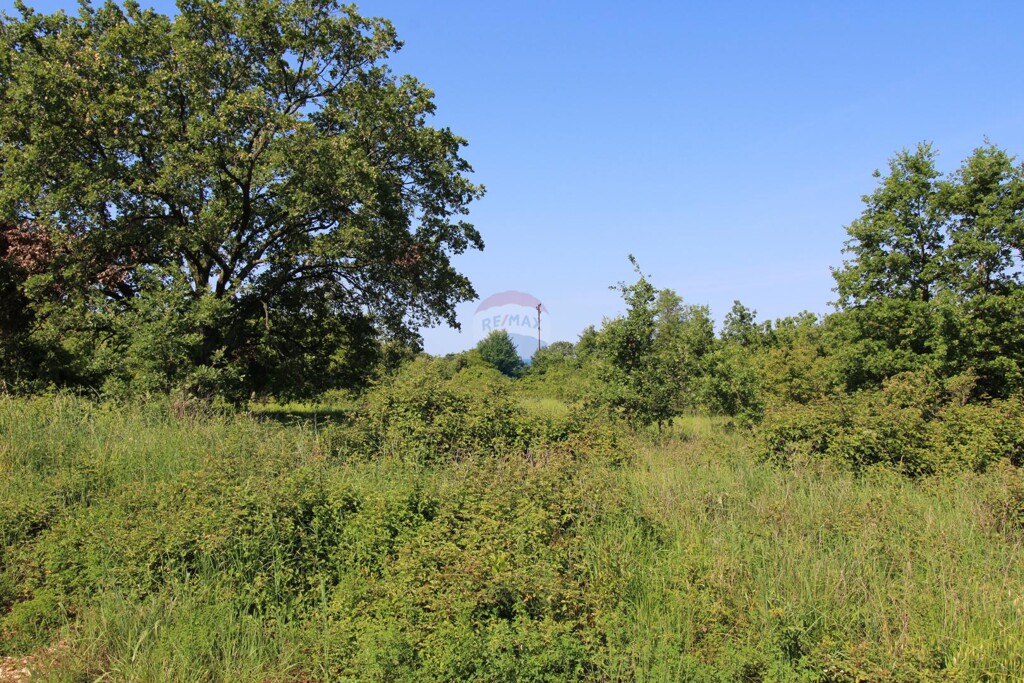 Image 5867527 - 3