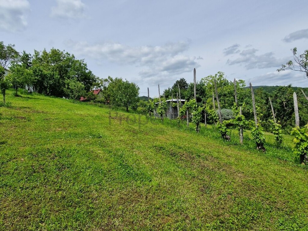 Image 5867789 - 7